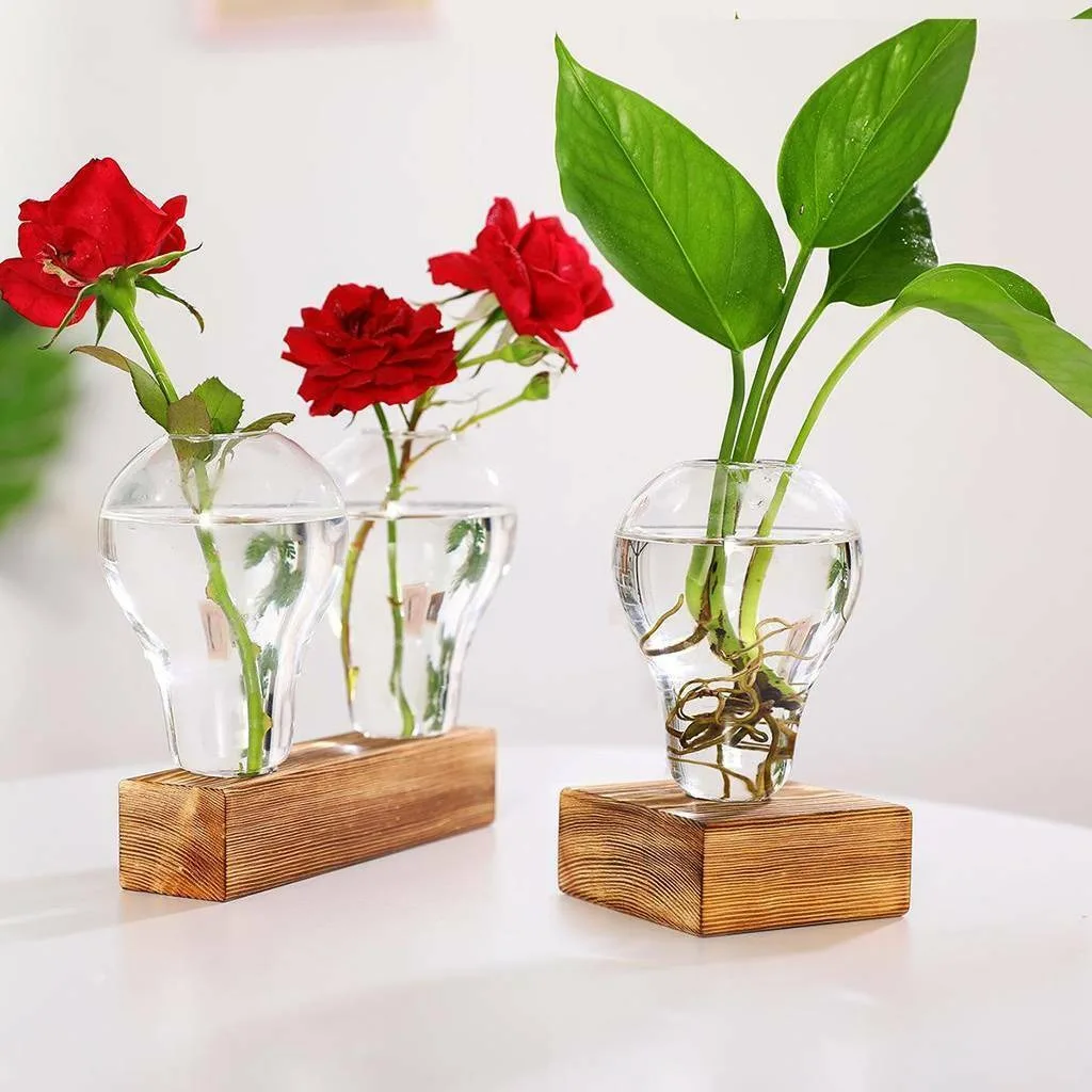 

Glass Bulb Vase Holder Container Planter w/ Wooden Stand Plant Terrarium New