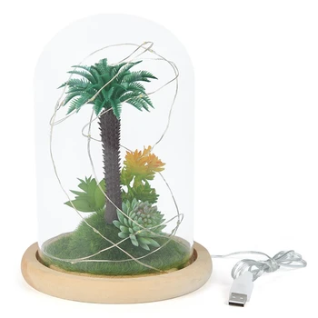 

Glass Vase Hanging Terrarium Succulents Plant Landscape Home Decor Gift Hydroponics Bottle