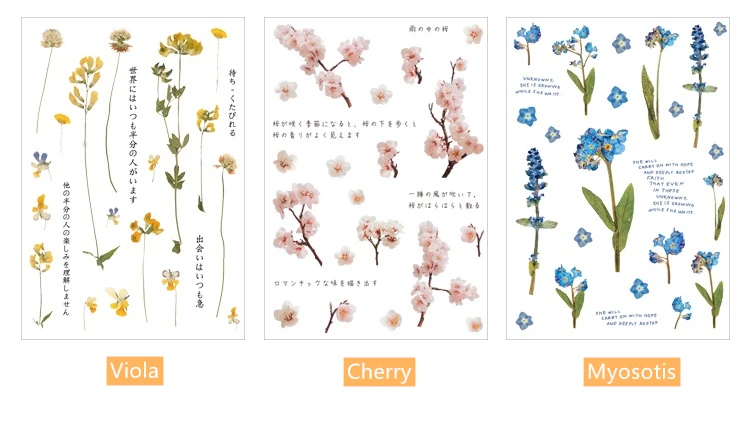 花之系列_04