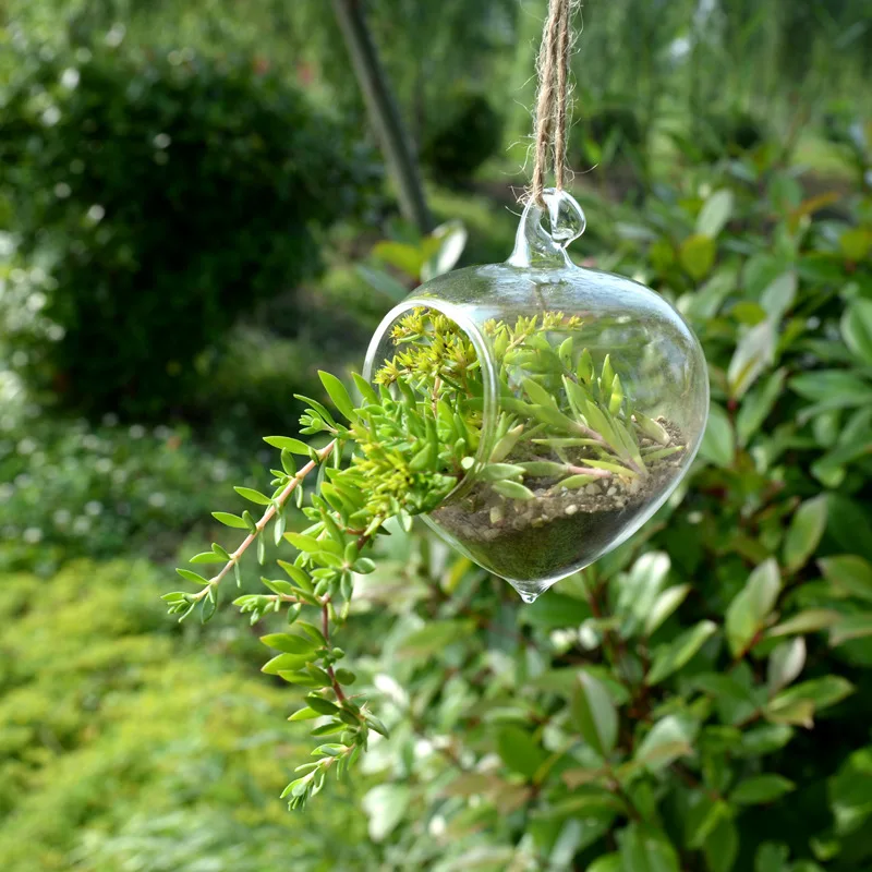 

Diameter=8cm 16pcs/pack Onion Shaped Glass Terrarium Vase Wedding Decorative Glass Pendant Friend Gift