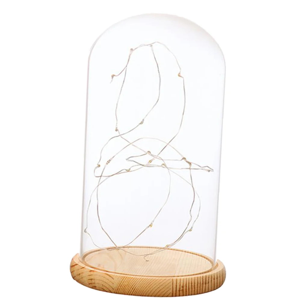 Glass Display Dome Cloche With Suspended LED Fairy Lights Xmas Birthday Gift