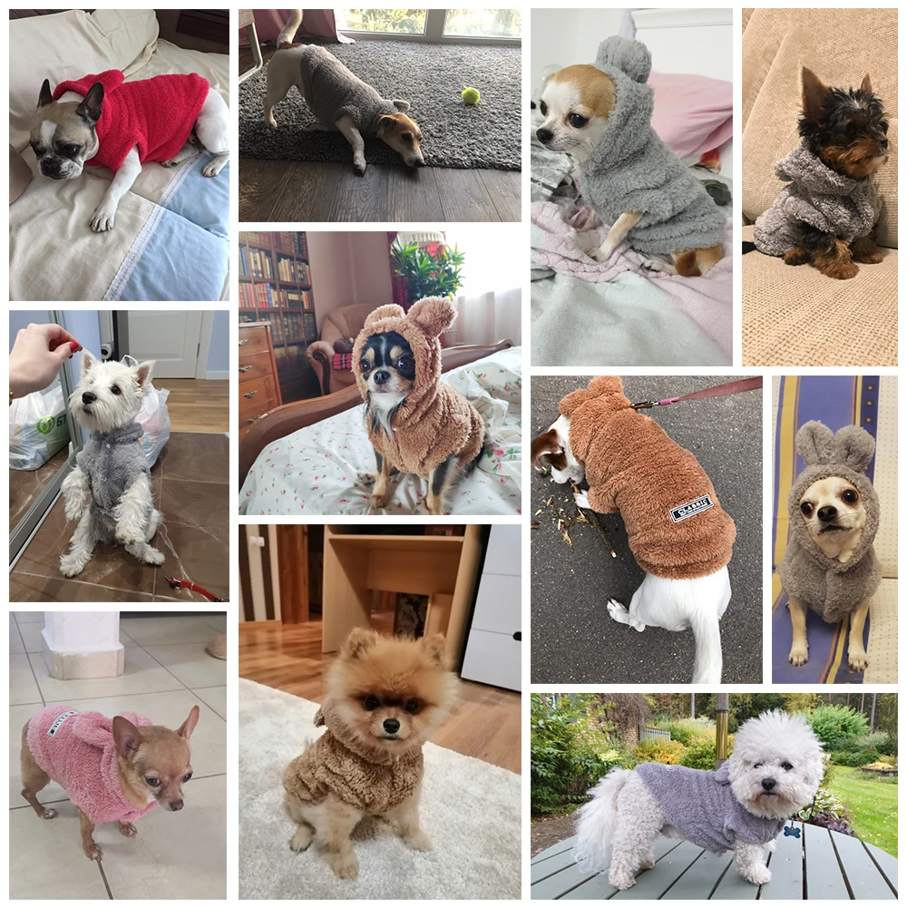 Winter Dog Cat Coat Jacket (2)