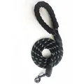 150cm nylon leash
