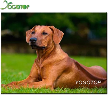 

full 3d diamond embroidery rhodesian ridgeback pet dog 5d diamond painting Diy mosaic picture of rhinestones cross-stitch YY2167