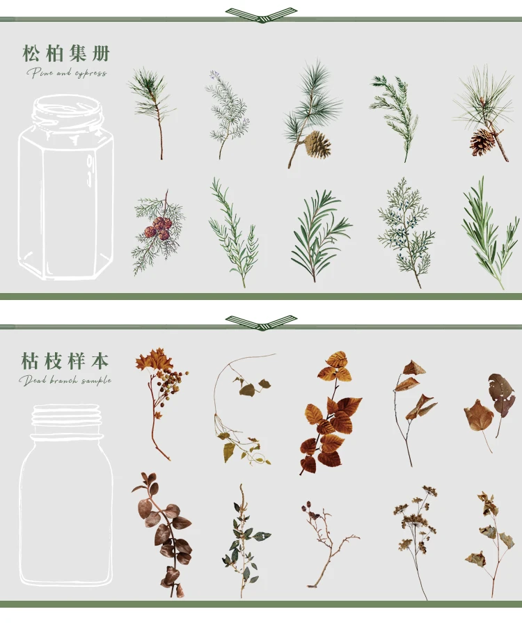 植物研究所贴纸包_07