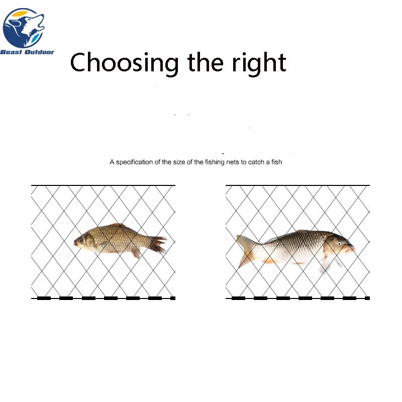 10571579129_1945748582