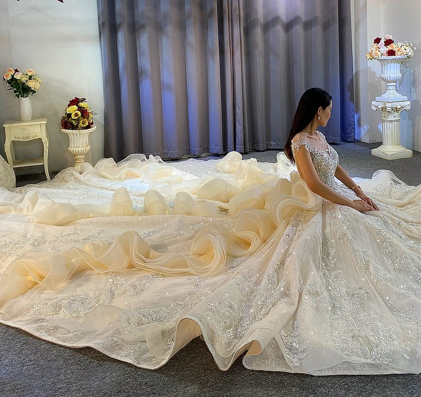 Sparkling Crystal Beaded Wedding Dresses With Long Flouncing Train Ball Gown Church Bridal Wedding Party Gown In Dubai 4