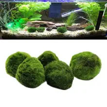 2 шт. зеленый мох Marimo мяч водные растения Cladophora мяч террариумные орнаменты для аквариума диаметр