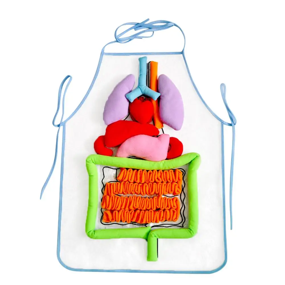  Simulation Human Body Apron Teaching Utensils Children Puzzle Enlightenment Apron Early Education T - 4000051815991