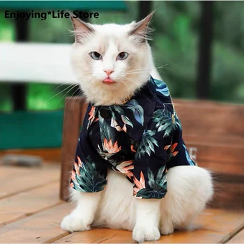 

Cat's Fashion Pet Cat Clothes Spring Summer Summer Puppy Dog Cat Vest T-shirt Kitten Shirt Clothes Pet Clothing