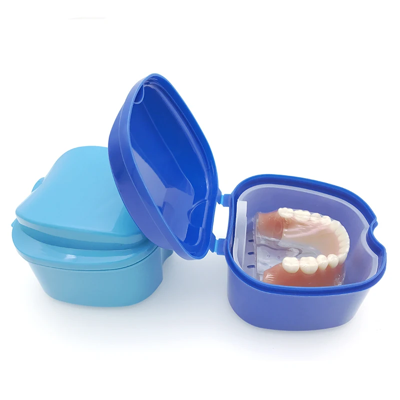 Artificial Tooth Organizer Denture Box Tooth Box Box Artificial Teeth Dentures Storage