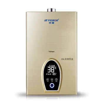 

12L 220v Instant Domestic Natural Gas Gas Water Heater Water Heater Strong Emission Type Water Heater LGP Wall Mounted