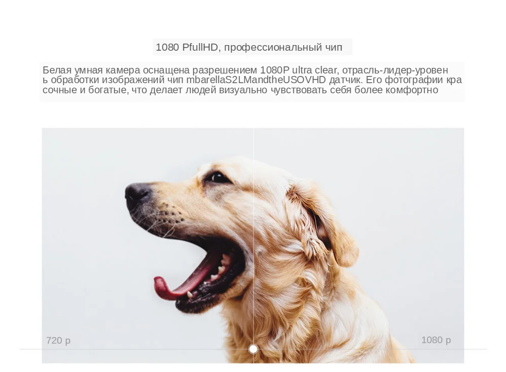 Xiaomi Mijia wifi Smart IP Cameras 1080P 360 Angle Panoramic Infrared Night Vision Webcam Camcorder Wireless for ios android (14)