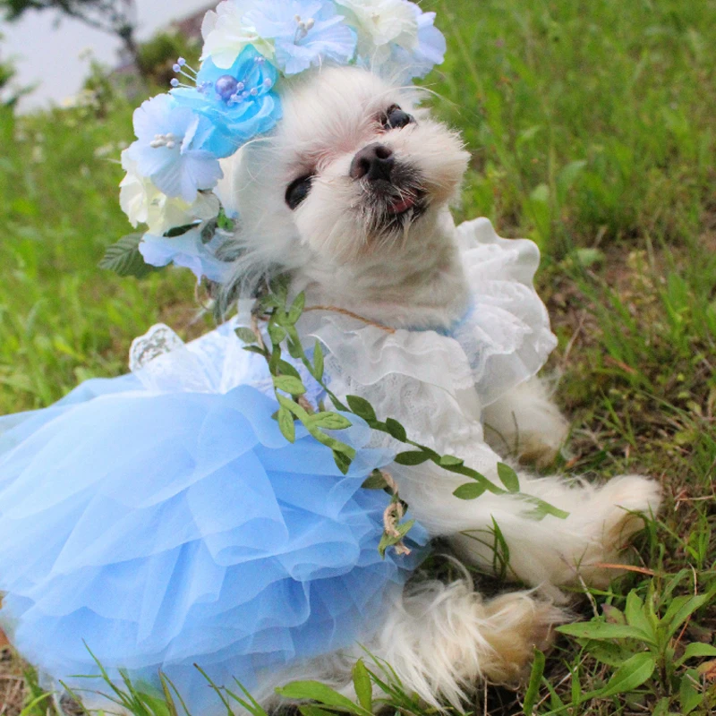 Домашнее собачье свадебное платье ручной работы кружева вышитые для маленьких собак художественное платье принцессы пачка Щенок Одежда невесты Чихуахуа Пудель