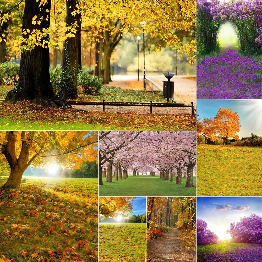 

WHISM 5*7 Feet Nature Landscape Theme Canvas Canvas Background Cloth Home Decoration Painting 8 Designs