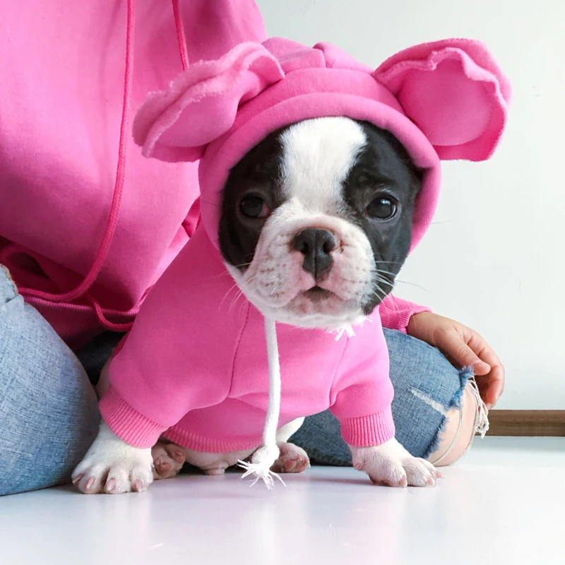 Мопс одежда французская одежда для бульдога Frenchie собака худи, свитшот, пальто зимняя одежда для домашних животных Пудель Померанский Шнауцер одежда