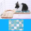 Pet Products