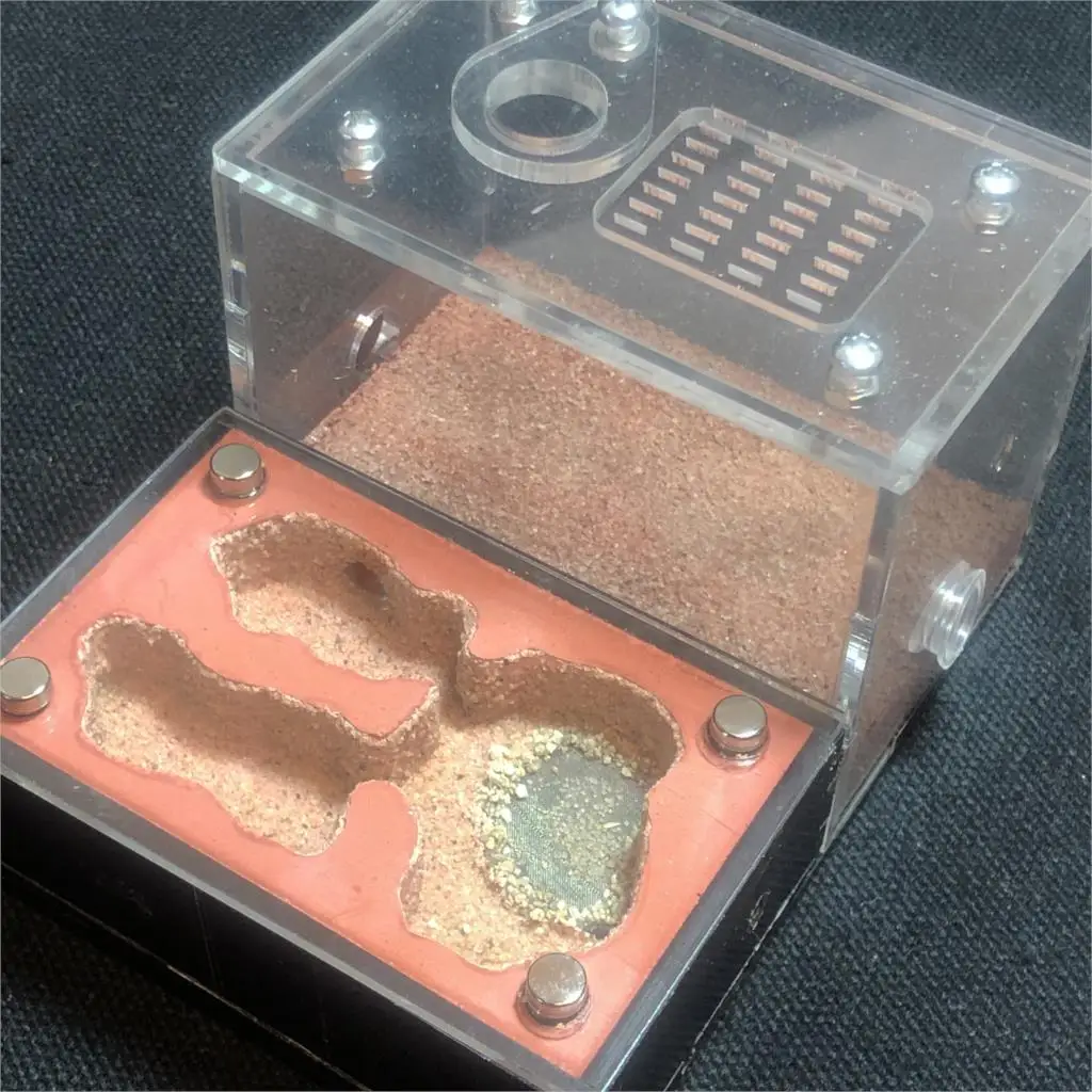 DIY светильник для затенения экологический плоский муравьиная ферма акриловая штукатурка Муравьиное гнездо бетонный гипсовый муравейник мастерская песочный замок муравьиный дом