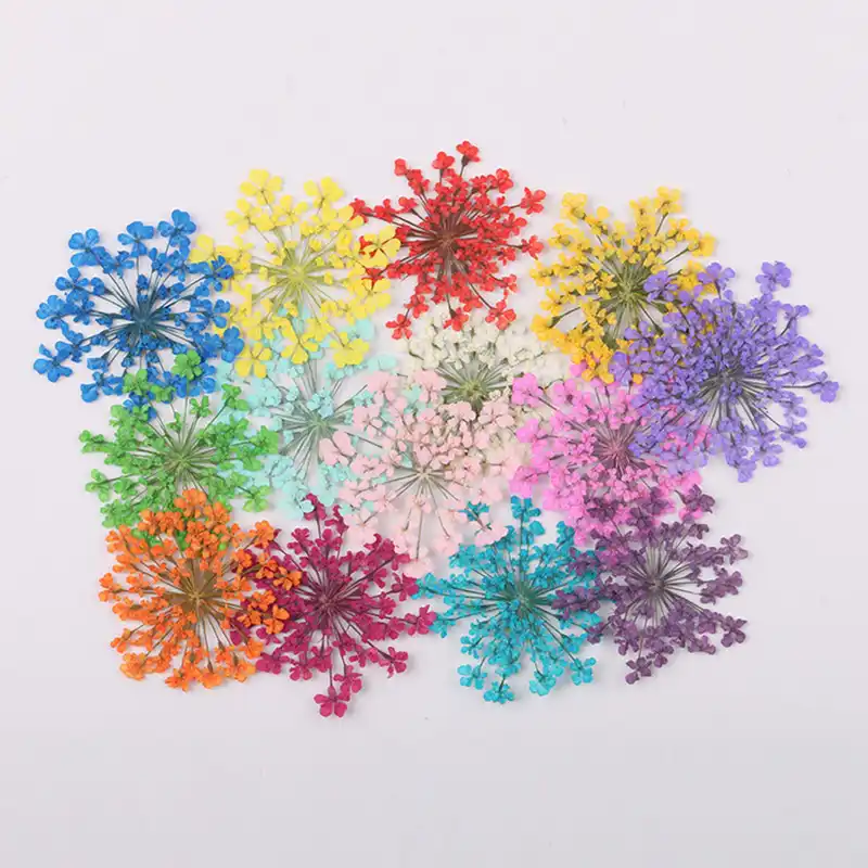 Snowdrop 自然乾燥させた花押し花マニキュアドライフラワーのり携帯電話ケース Diy の材料 100 ピース バッグ Aliexpress