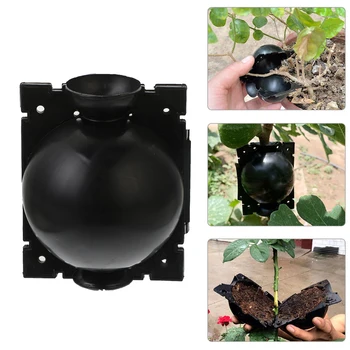 

5pcs Plant Rooting Ball Grafting Rooting Growing Box Breeding Case for Garden