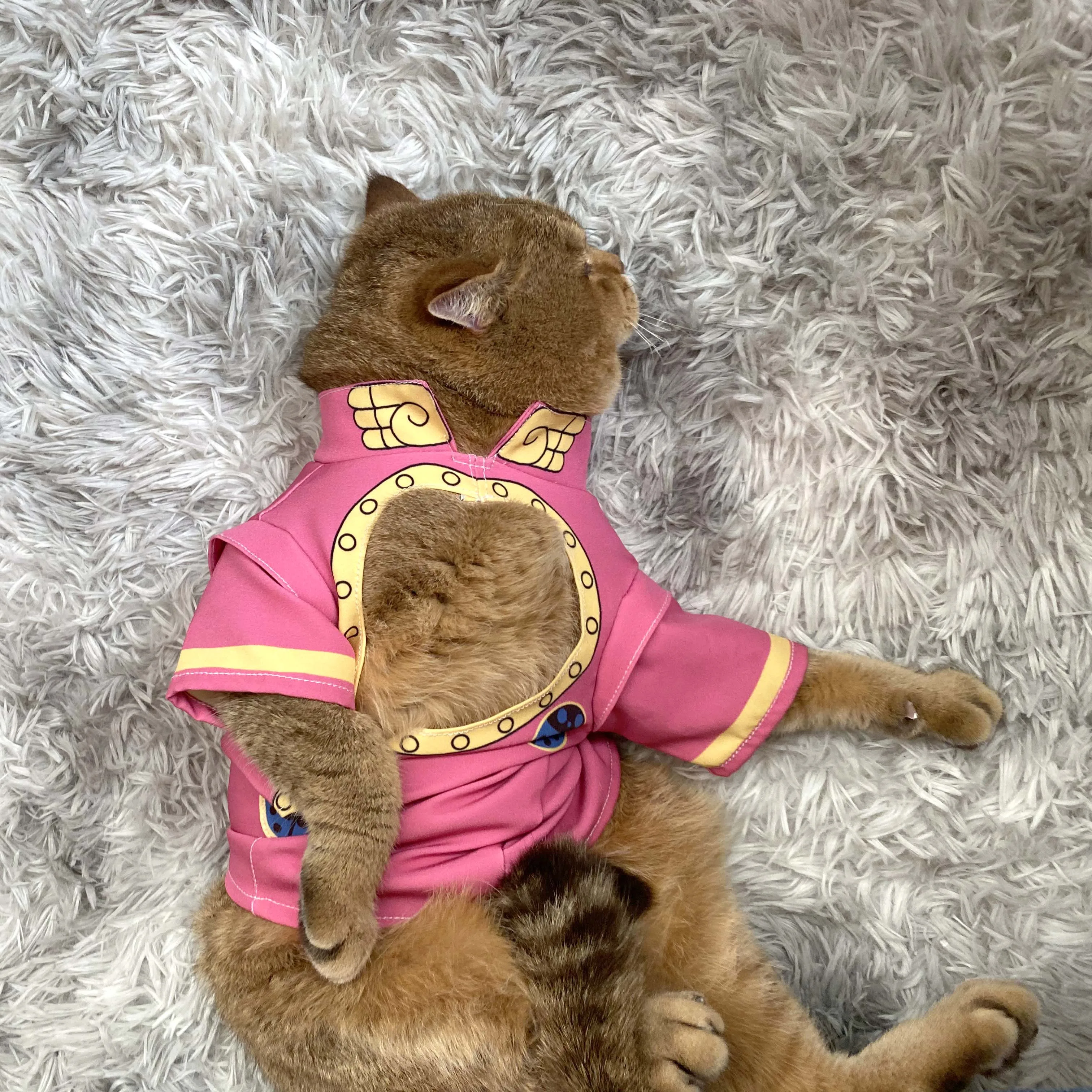 

Cosplay Jojo Bizarre Adventure Cosplay Pets Costumes for Cats and Dogs