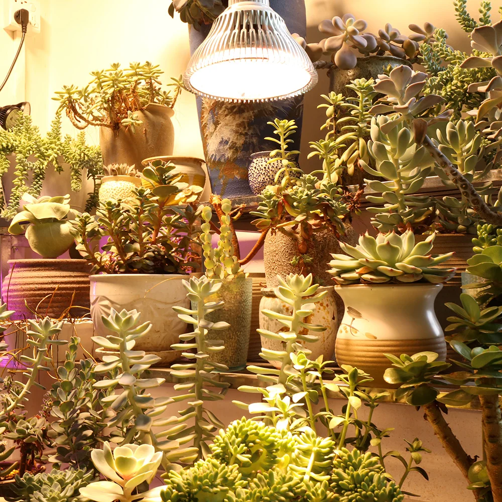 Slide image c0fad0cc27664ad79e856986940d62bf