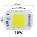 50W