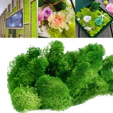 10g Artificial Plant Eternal life Moss Immortal Fake Grass Home Living Room Decorative Wall DIY Flower Material Garden Landscape
