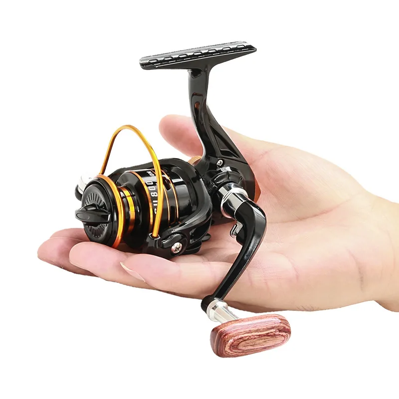 Bobine de pêche Spinning Baicasting Boule de billes pour carpe Eau de