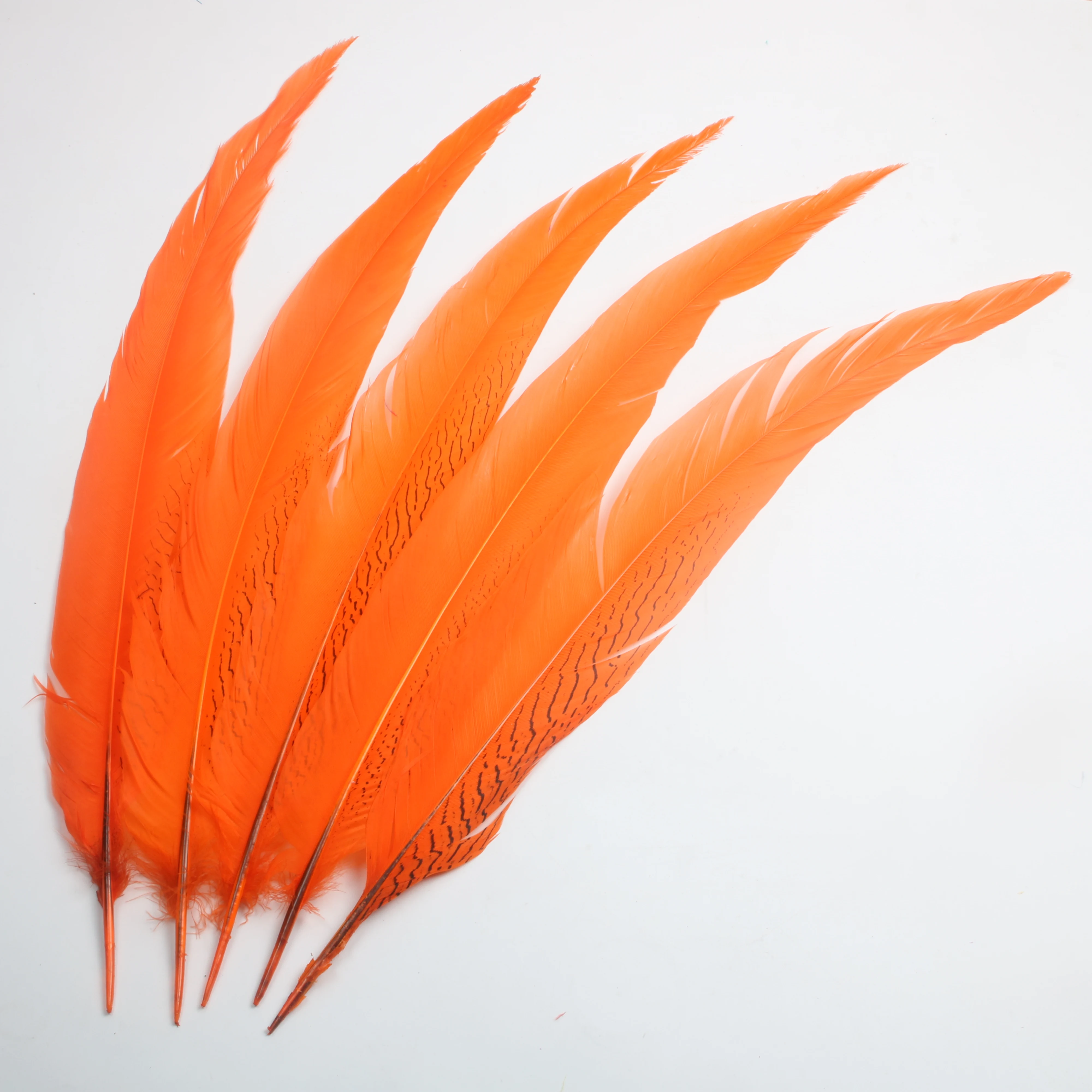 

16-26inch/40-65cm Stained orange Silver Pheasant tail feathers Carnival party performance plume and feathers for Crafts