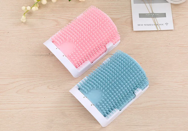 9896316835_649182541