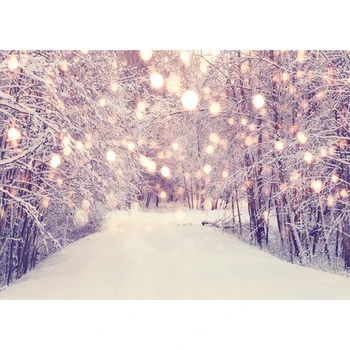 

Winter Wonderland Glitter Snowflake forest Backdrop Photocall Bokeh Christmas Snow Background Birthday Portrait Friends Party