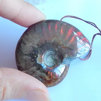 

Natural Ammonite Gemstone Pendant,47x38x13mm,28g