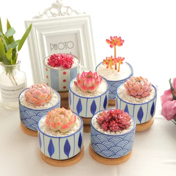 

3Pcs/set Ceramic Japanese Style Succulents Plants Container Office Bonsai Cactus Flower Pot Planter Home Garden Decor Ornaments