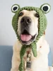 Sombrero de rana perro gato gracioso Bonito traje para perros cálido tejer lana sombreros de mascota verde amarillo gorro de perro regalo de cumpleaños para perros de compañía ► Foto 2/5