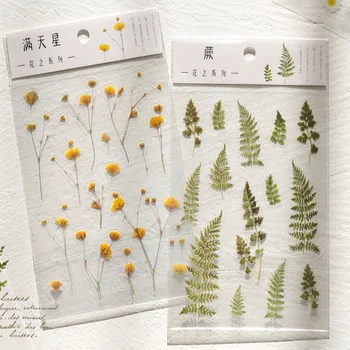 

Transparent PET Stickers Fresh Flower Leaf Pattern DIY Scrapbooking Diary Hand Account Journal Album Decor Stickers 2020