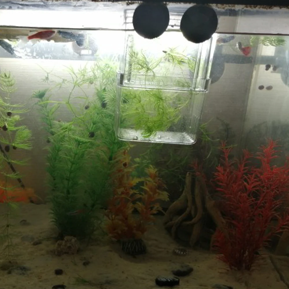 Breeder Aquarium Hatchery Incubator Holder Fish Tank Breeding Isolation Box Double-Deck Transparent Acrylic fish breeding box
