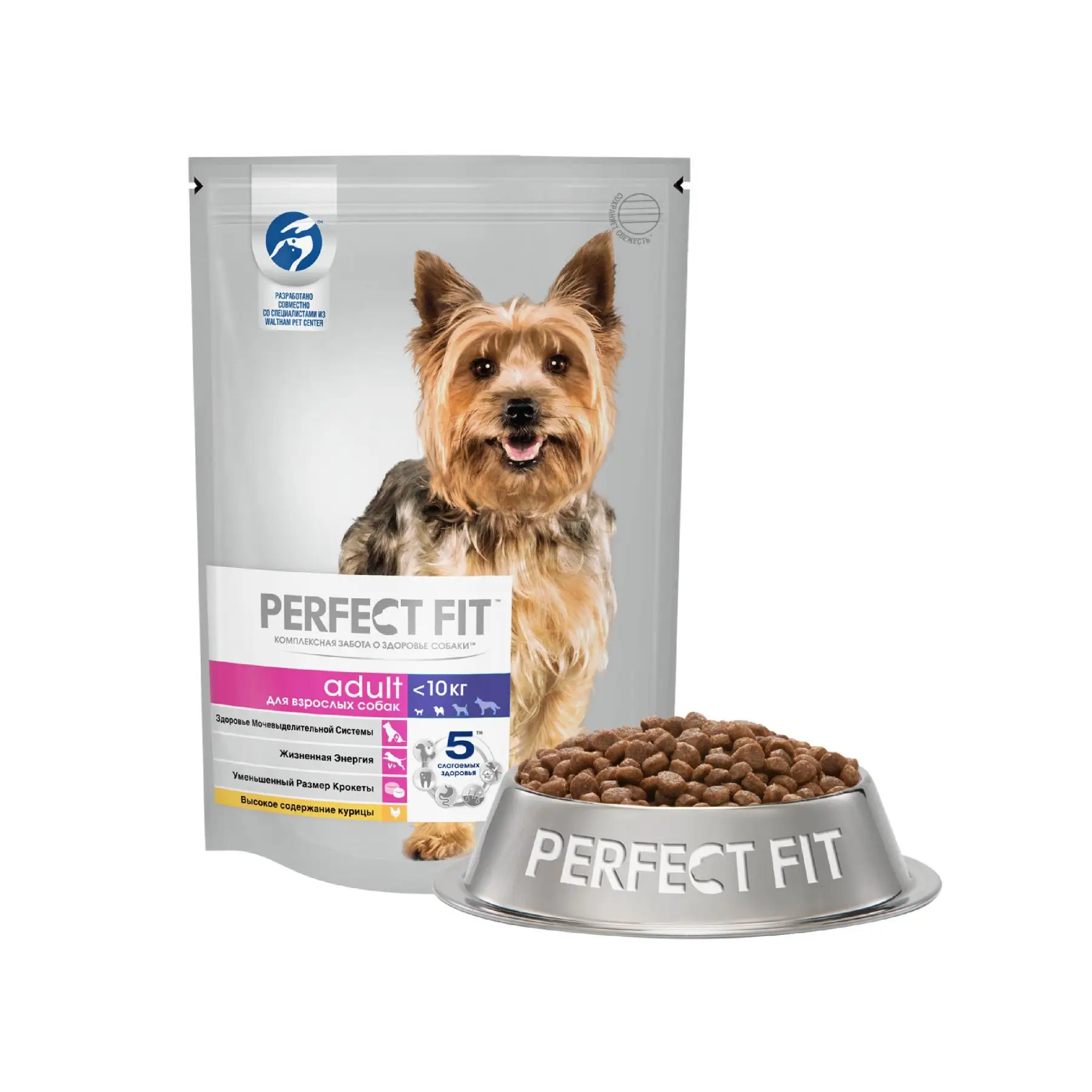 Can Dogs Digest Small Rocks