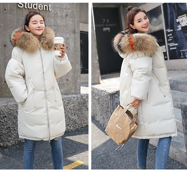 9042445694_1006637240