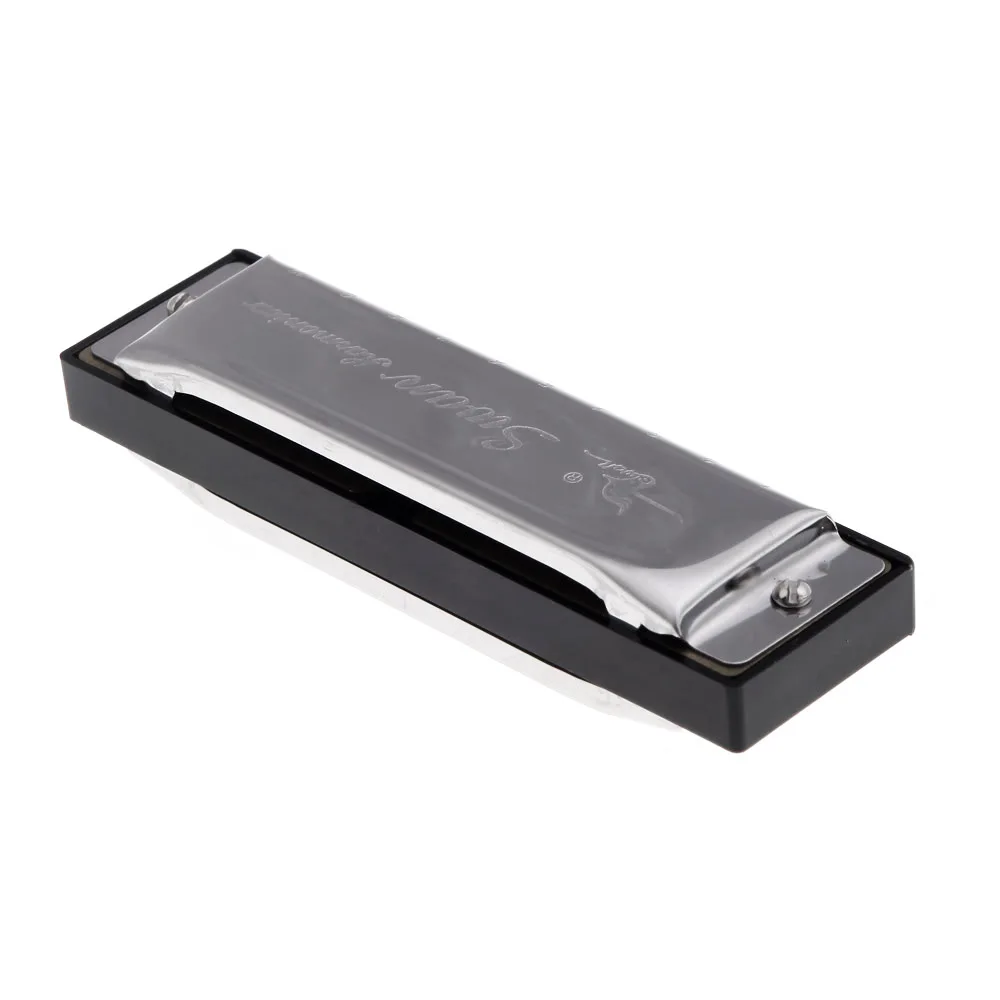 Swan Diatonic Harmonica 10 Holes Blues Harp Mouth Organ Key of G Reed Instrument with Case Silver
