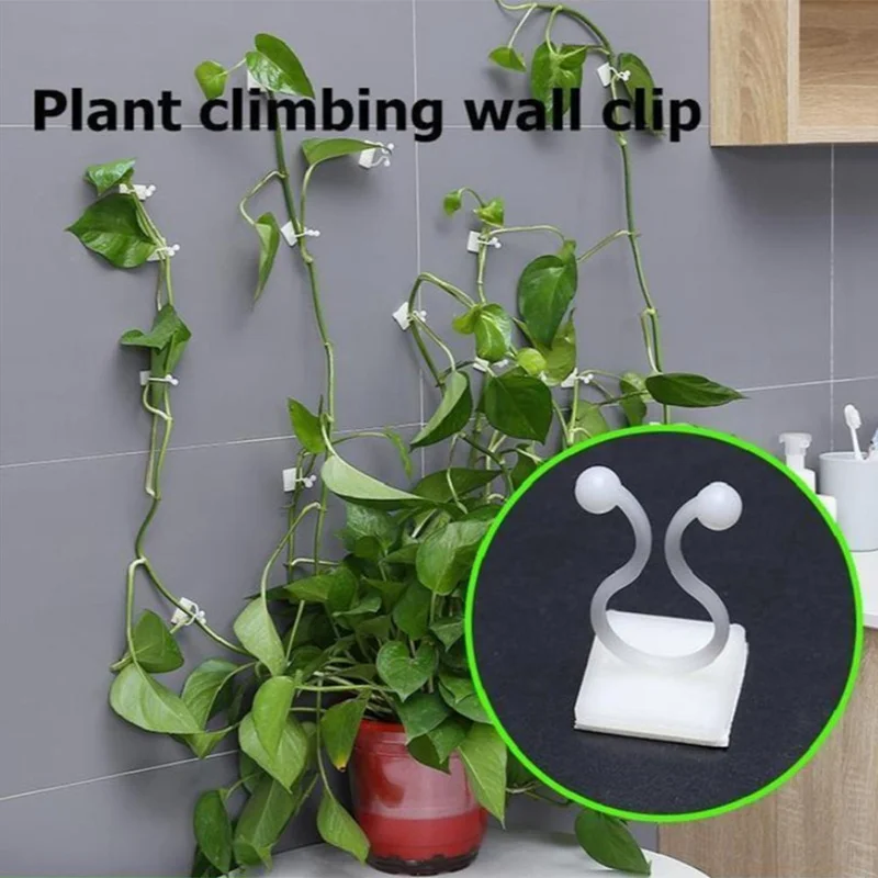 

10PCS Garden Vegetable Plant Support Binding Clip Vine Plant Climbing Wall Fixer Non-marking Self-adhesive Hook Plant Fixed Clip