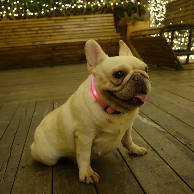 Светильник для домашних животных, безопасный нейлоновый однотонный светодиодный светящийся собачий ошейник, цветной ошейник для прогулок