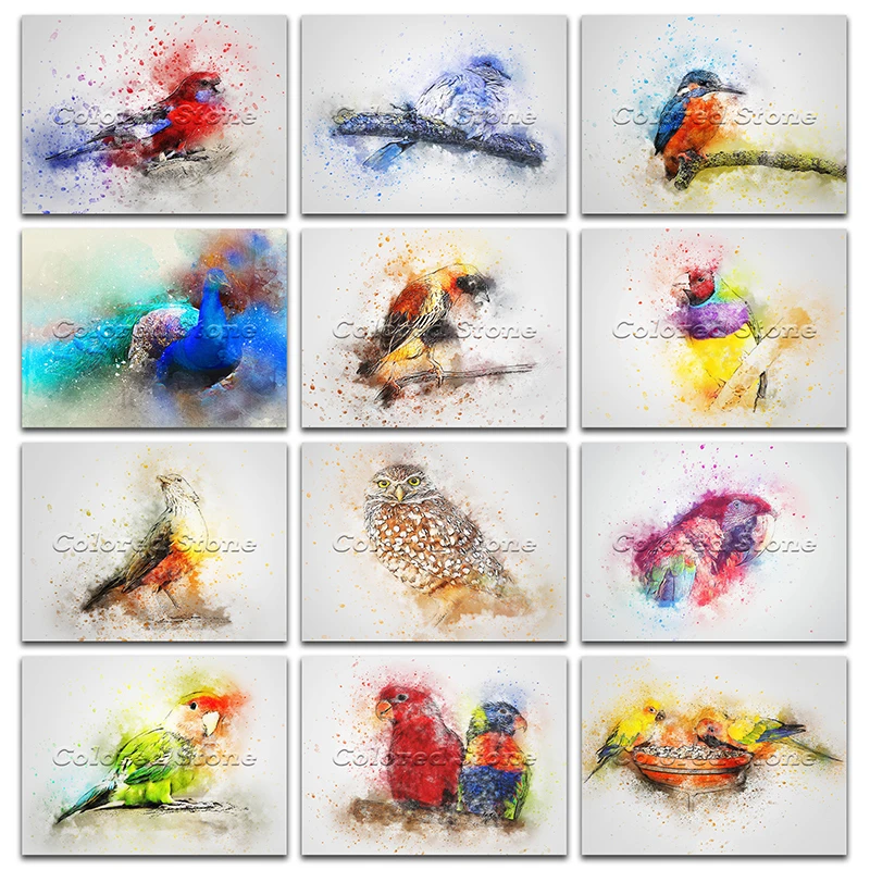 New Diamond painting Animals Colorful bird parrot kingfisher 5D DIY Full Square Drill embroidery Cross stitch mosaic Drawing 968 | Дом и сад