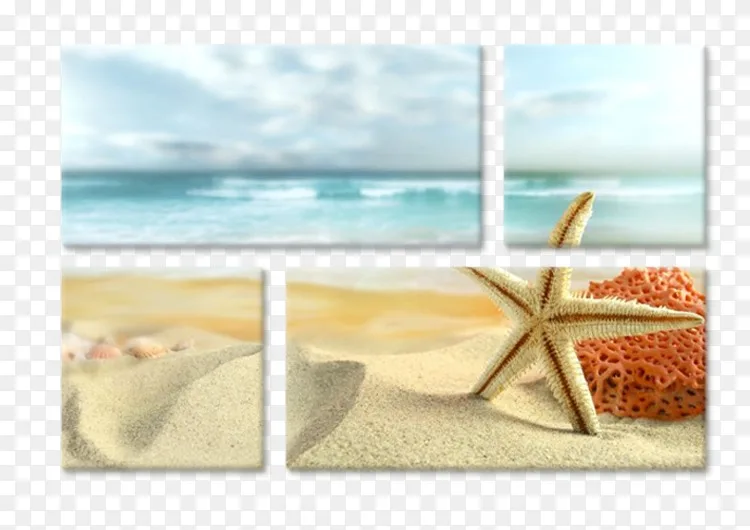 海滩桌面壁纸海岸海星 海滩png图片素材免费下载 图片编号 Png素材网