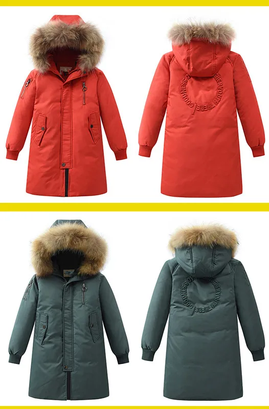 11559750374_2137963351