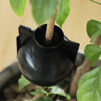 

10pcs Plant Root Growing Box Plant Rooting Ball Breeding Case Grafting Rooting Growing Box Breeding For Garden Plant Root Box