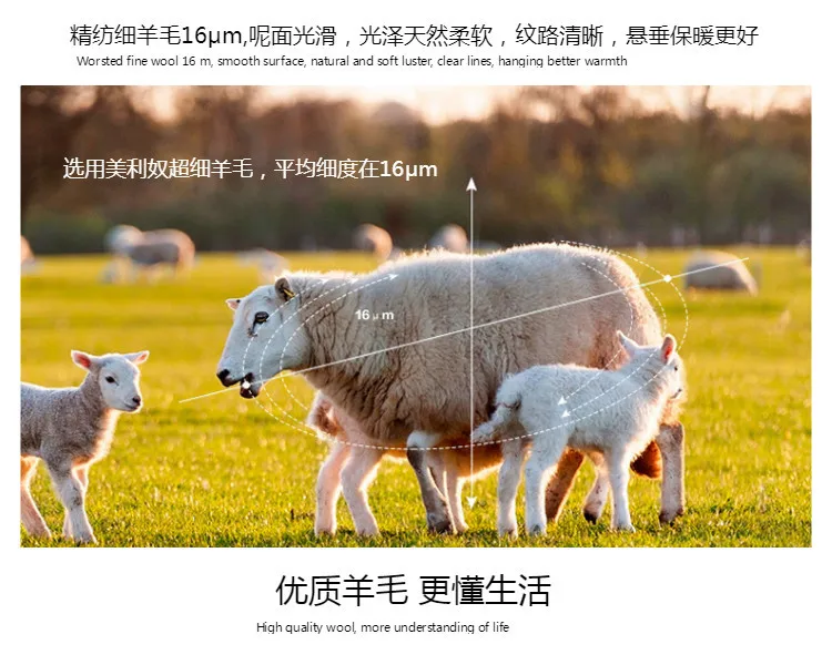 Тренч высокого класса с девятым рукавом, шерстяное пальто, женское толстое пальто в Корейском стиле, осень, стиль, прямое кашемировое шерстяное пальто M