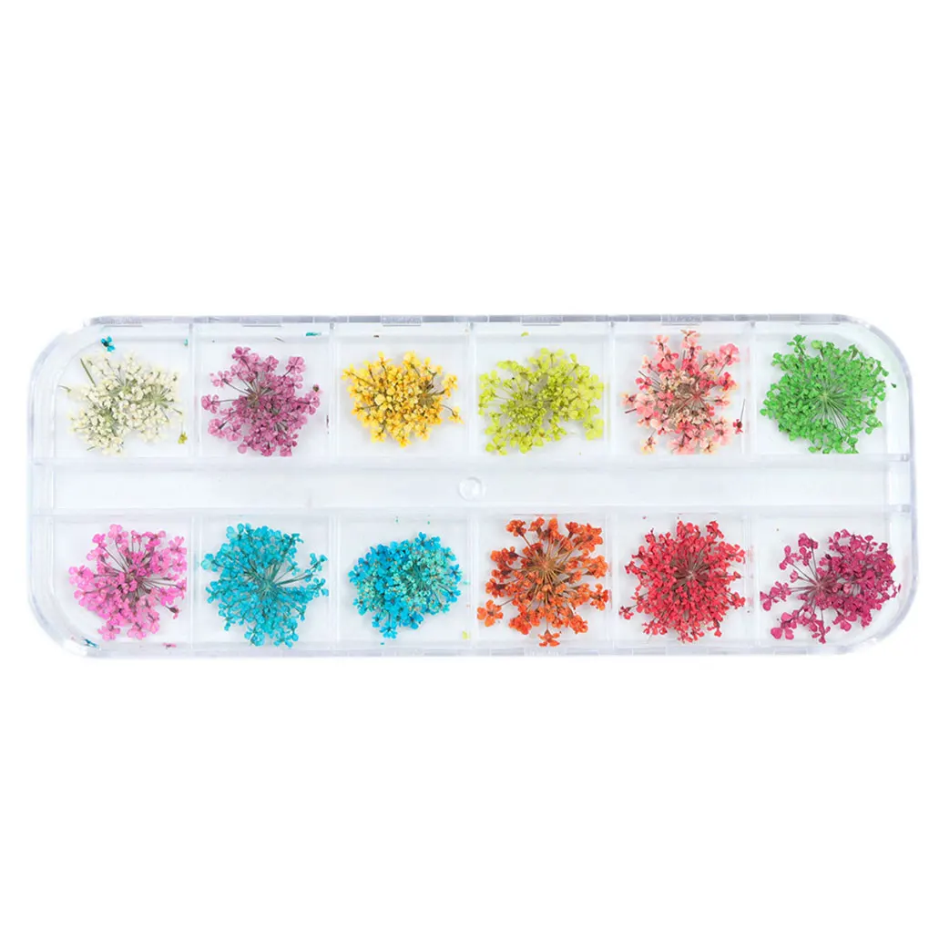 12 Grid Nail Art Nature Dry Flowers Set Gel Polish Tip 3D DIY Floral Slices Decal Manicure Pedicure Decoration