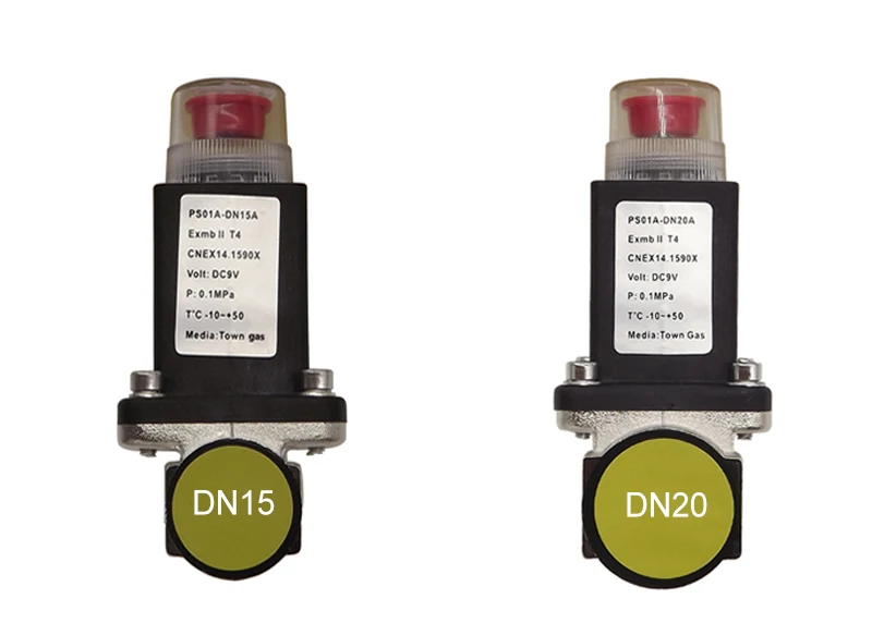 gas detector 10