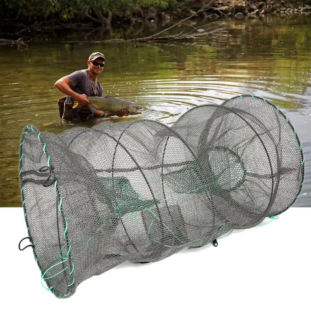 bait fish trap